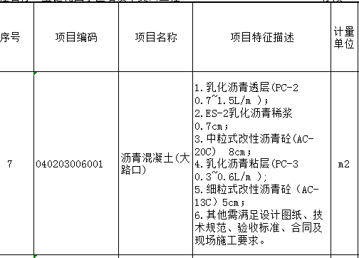 项目特征