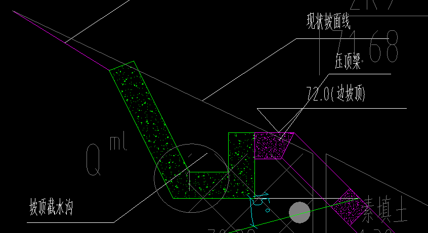 顶梁