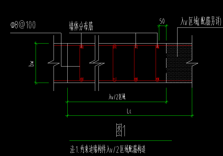 直筋