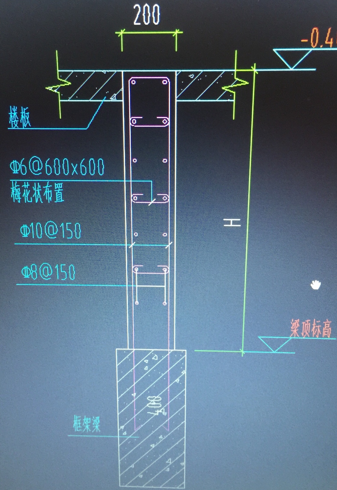 直筋