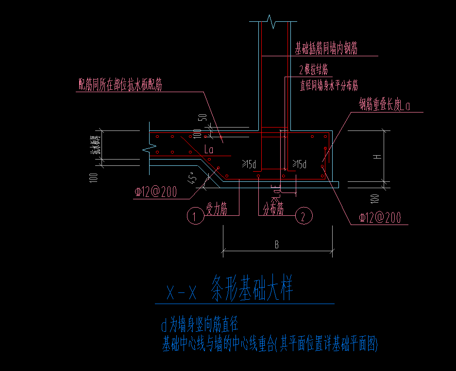 条基