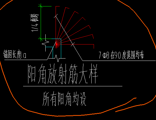 放射筋长度