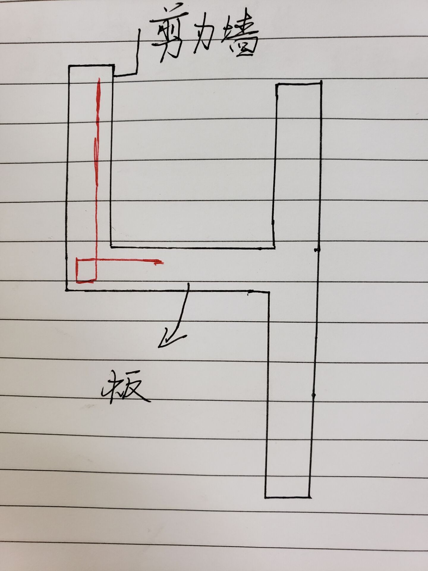 分布筋