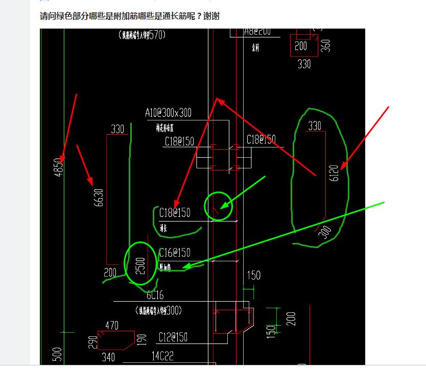 通长筋