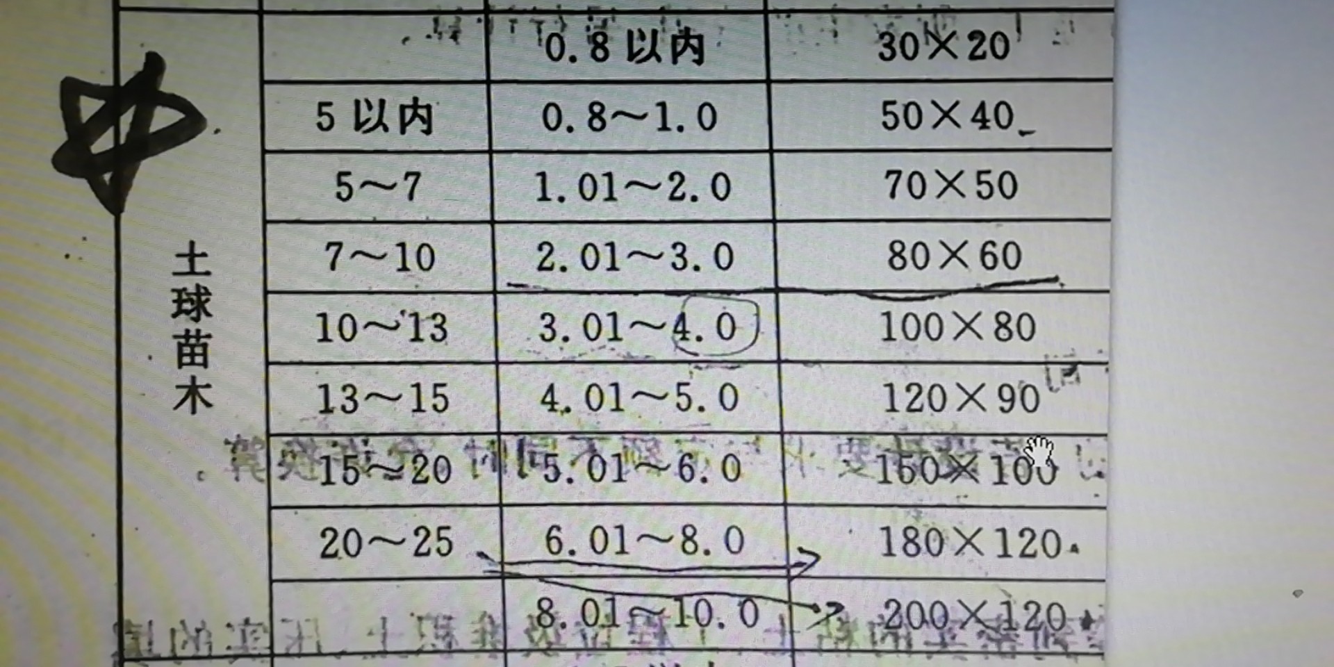 乔木