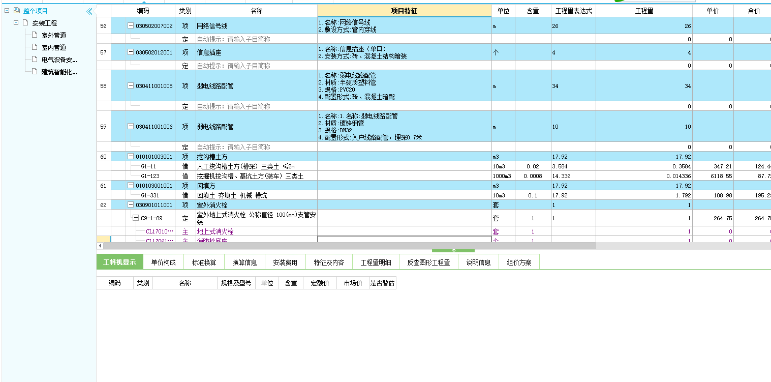 项目特征