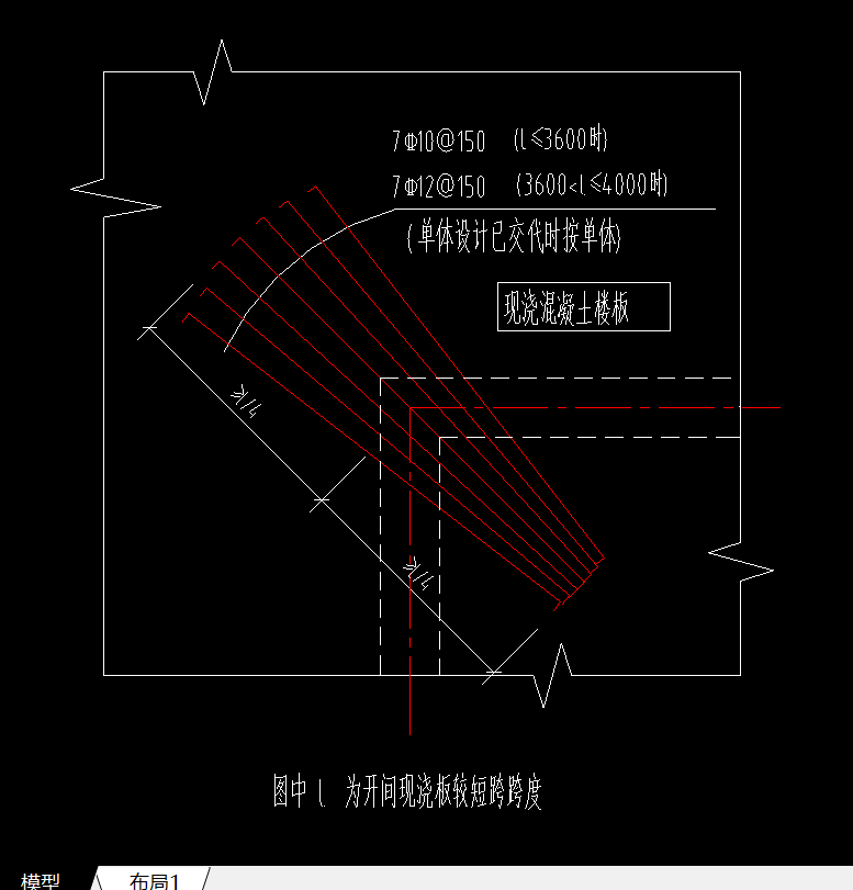 的放射筋