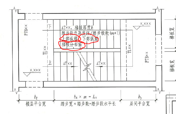 梯板配筋