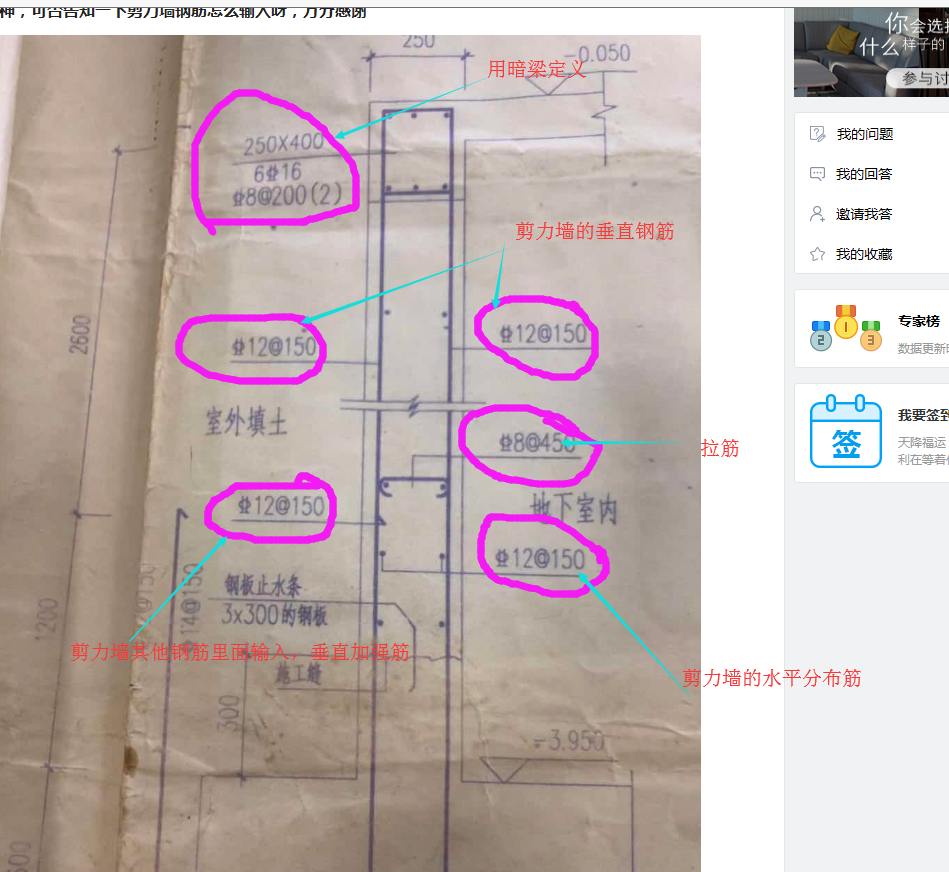 剪力墙钢筋