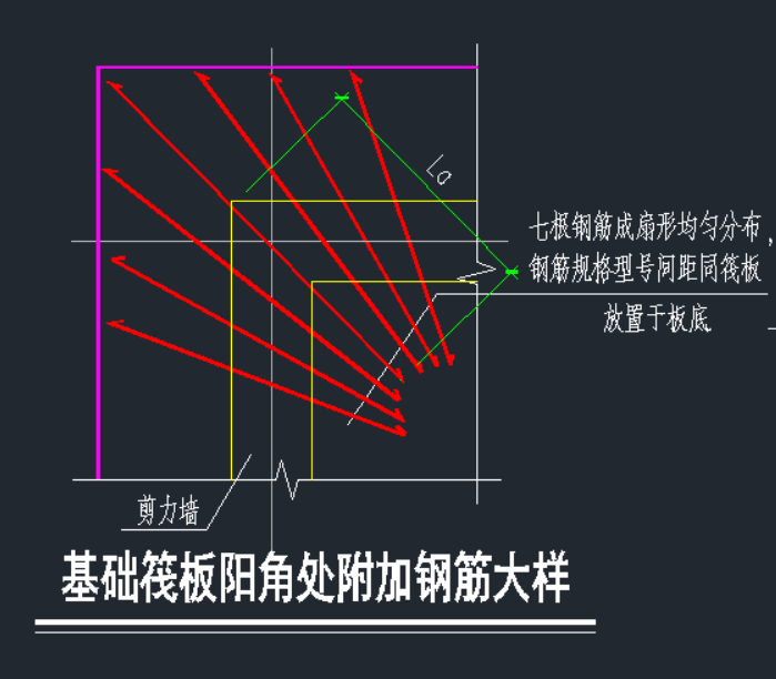 放射筋