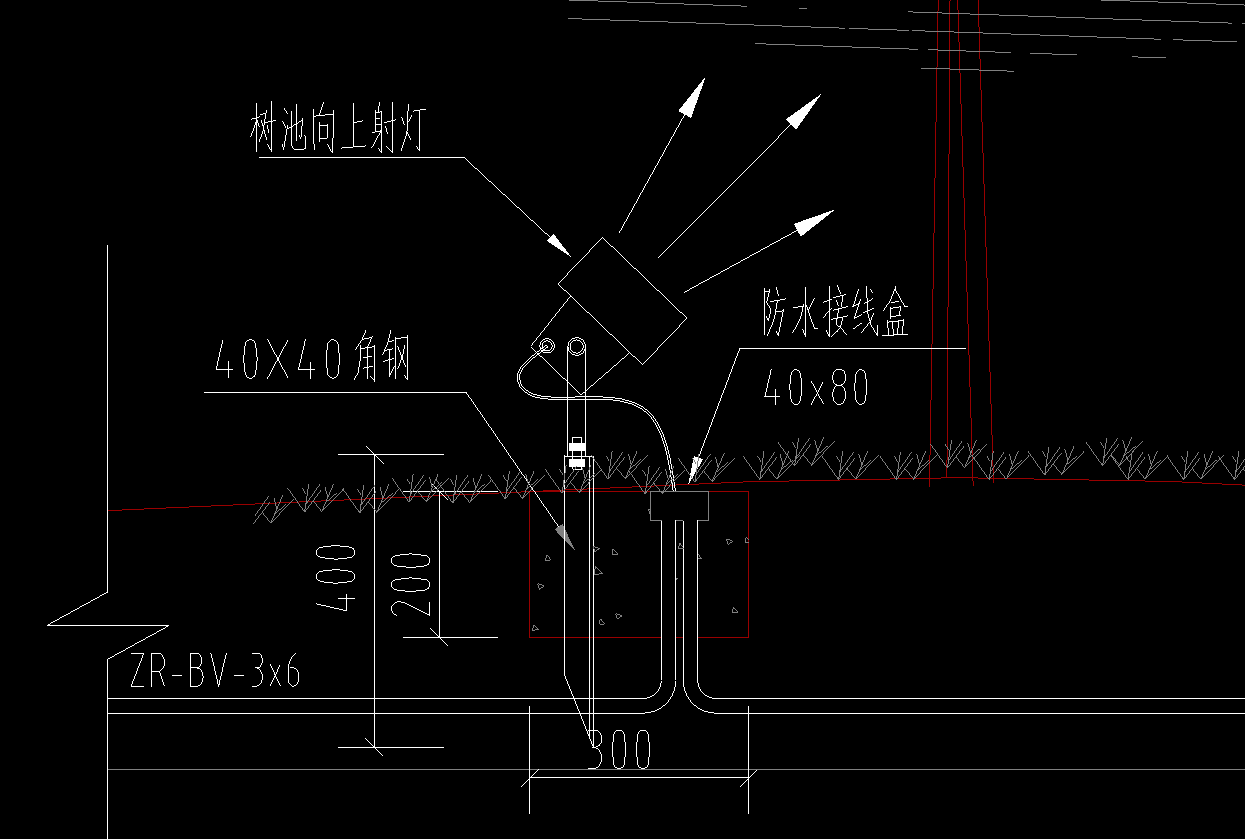 树池