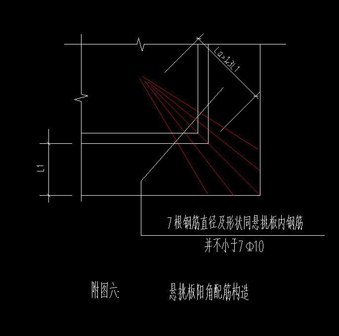 放射筋