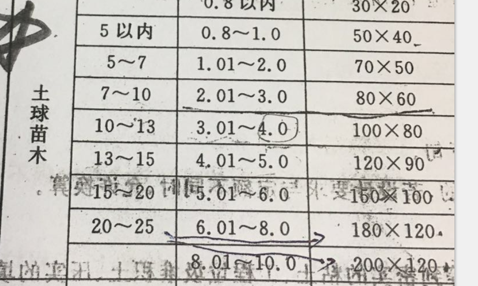 苗木
