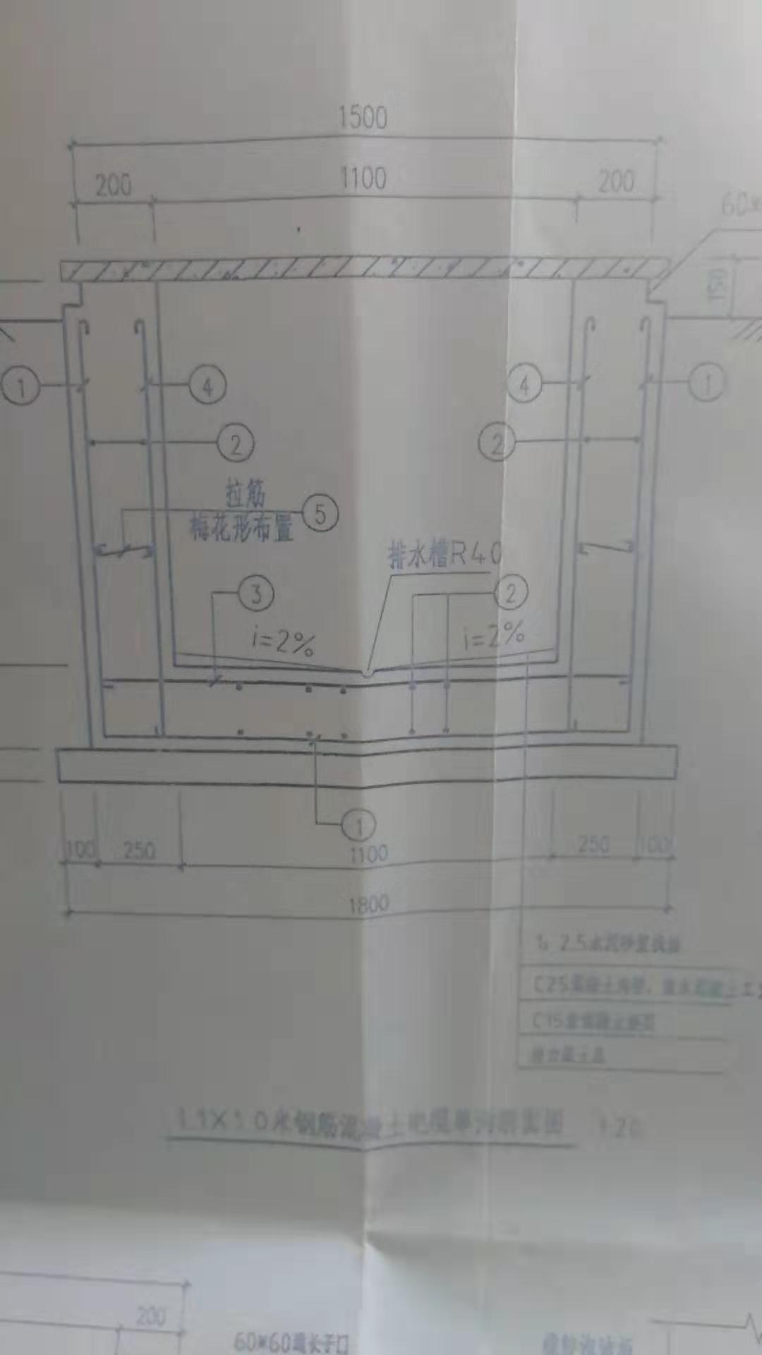 异形