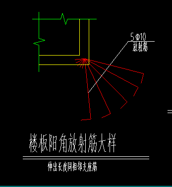 放射筋