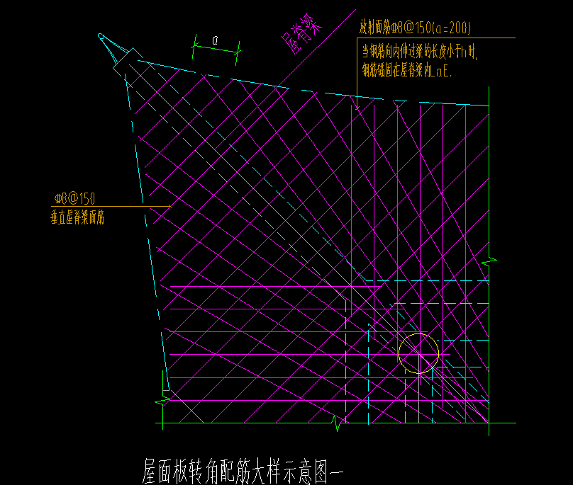 放射筋