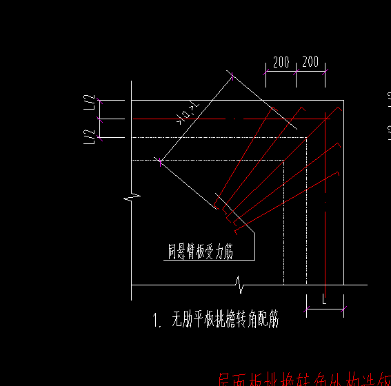 放射筋长度