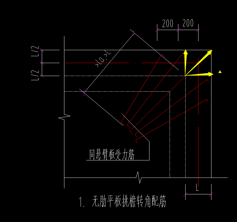 放射筋