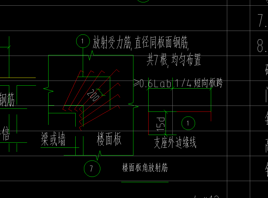 放射筋