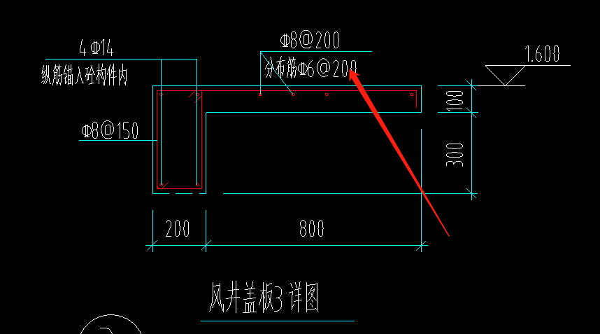 分布筋