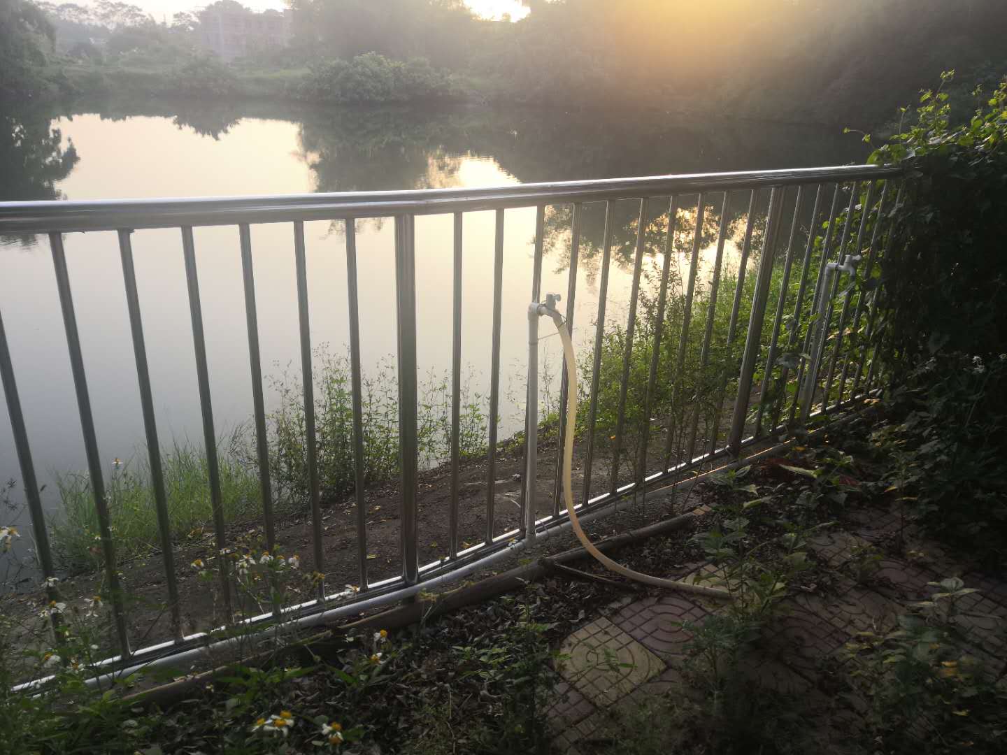 不锈钢护栏