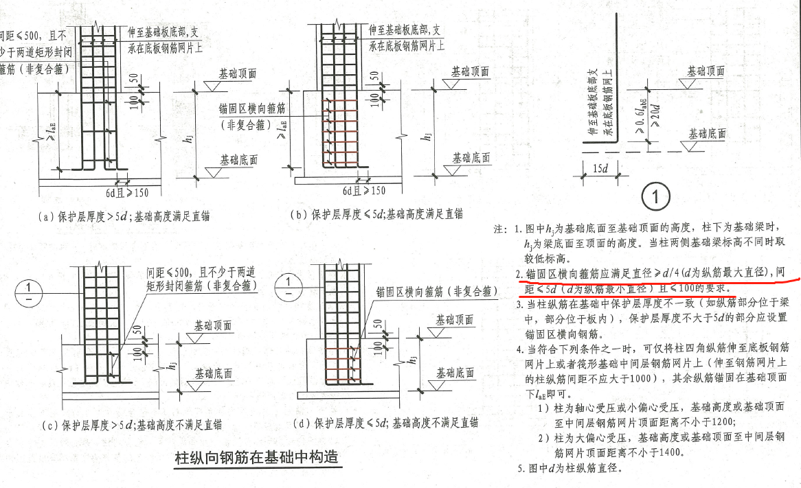 根数