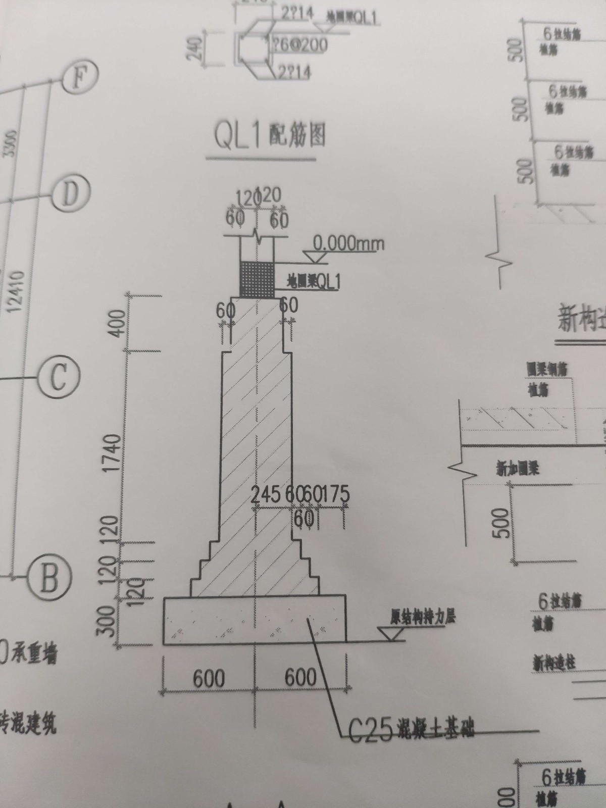 条基