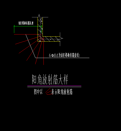 放射筋