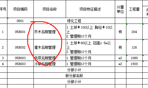 乔木