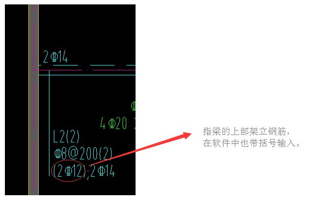 上部筋