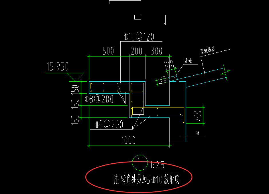 的放射筋