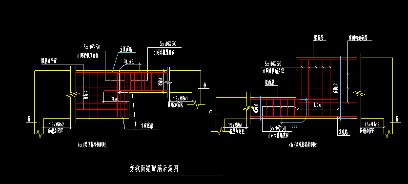 截面