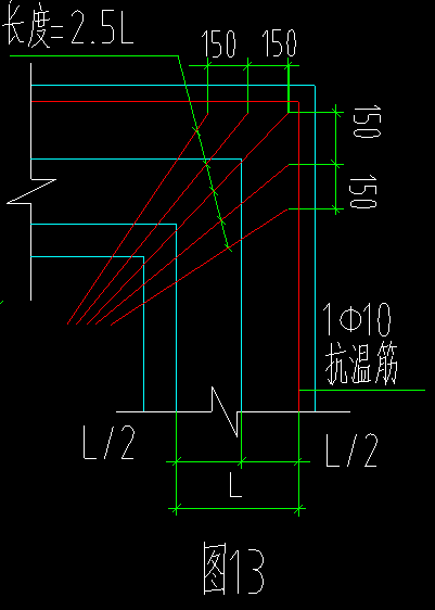 放射筋