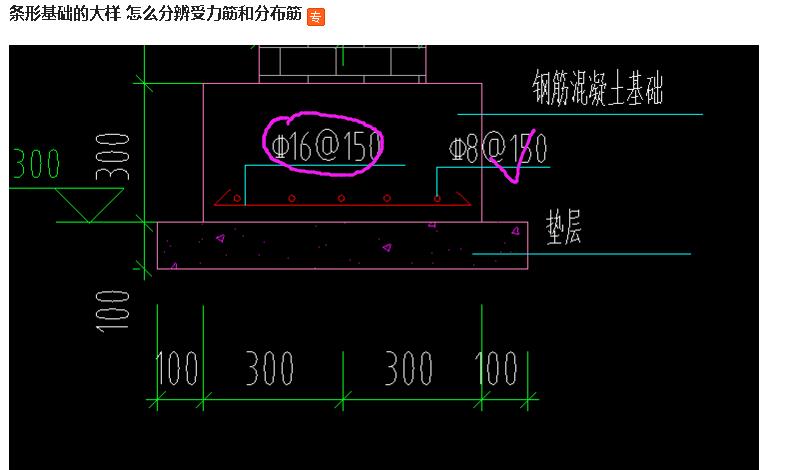 分布筋