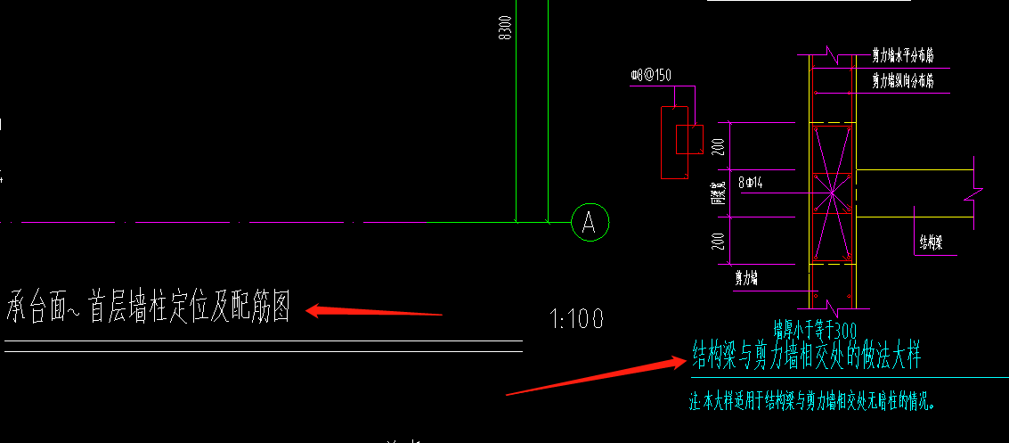 直筋