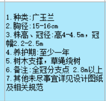 项目特征