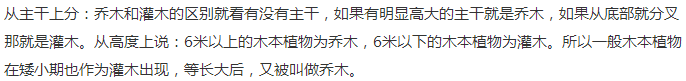 乔木