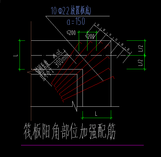 放射筋