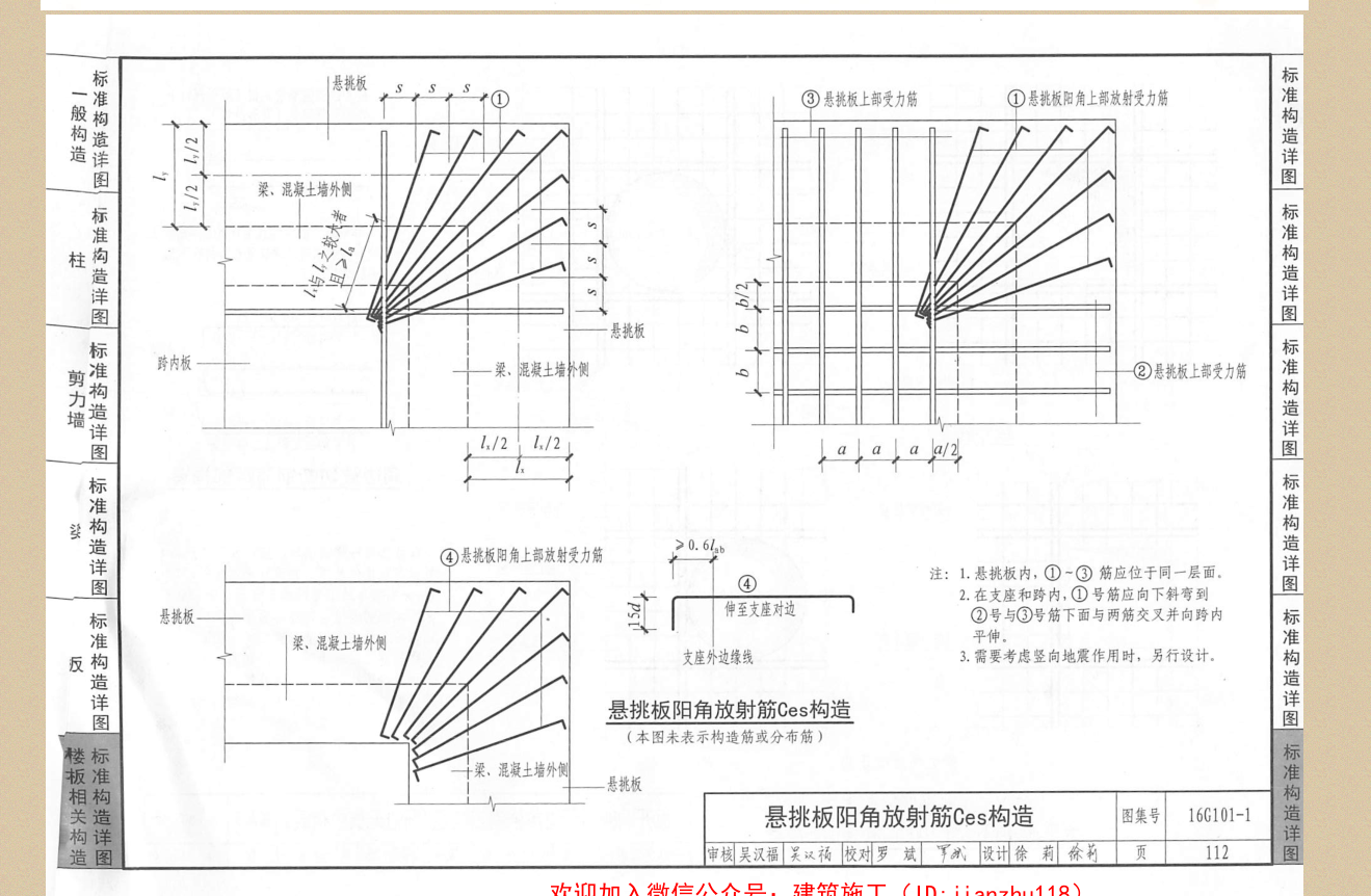 放射筋