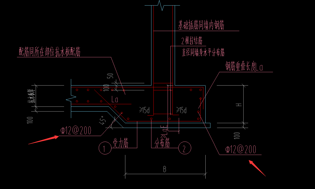 条基