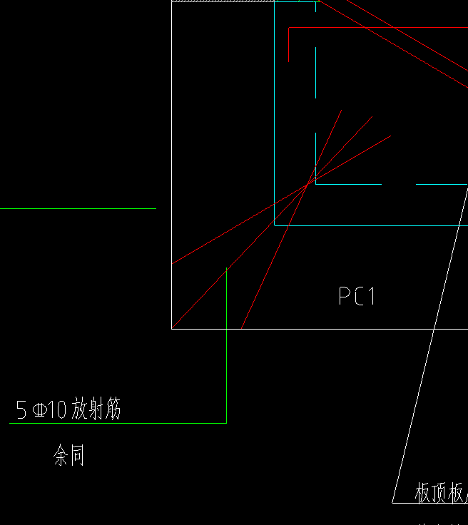 放射筋