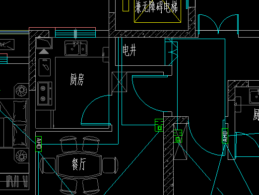 分支