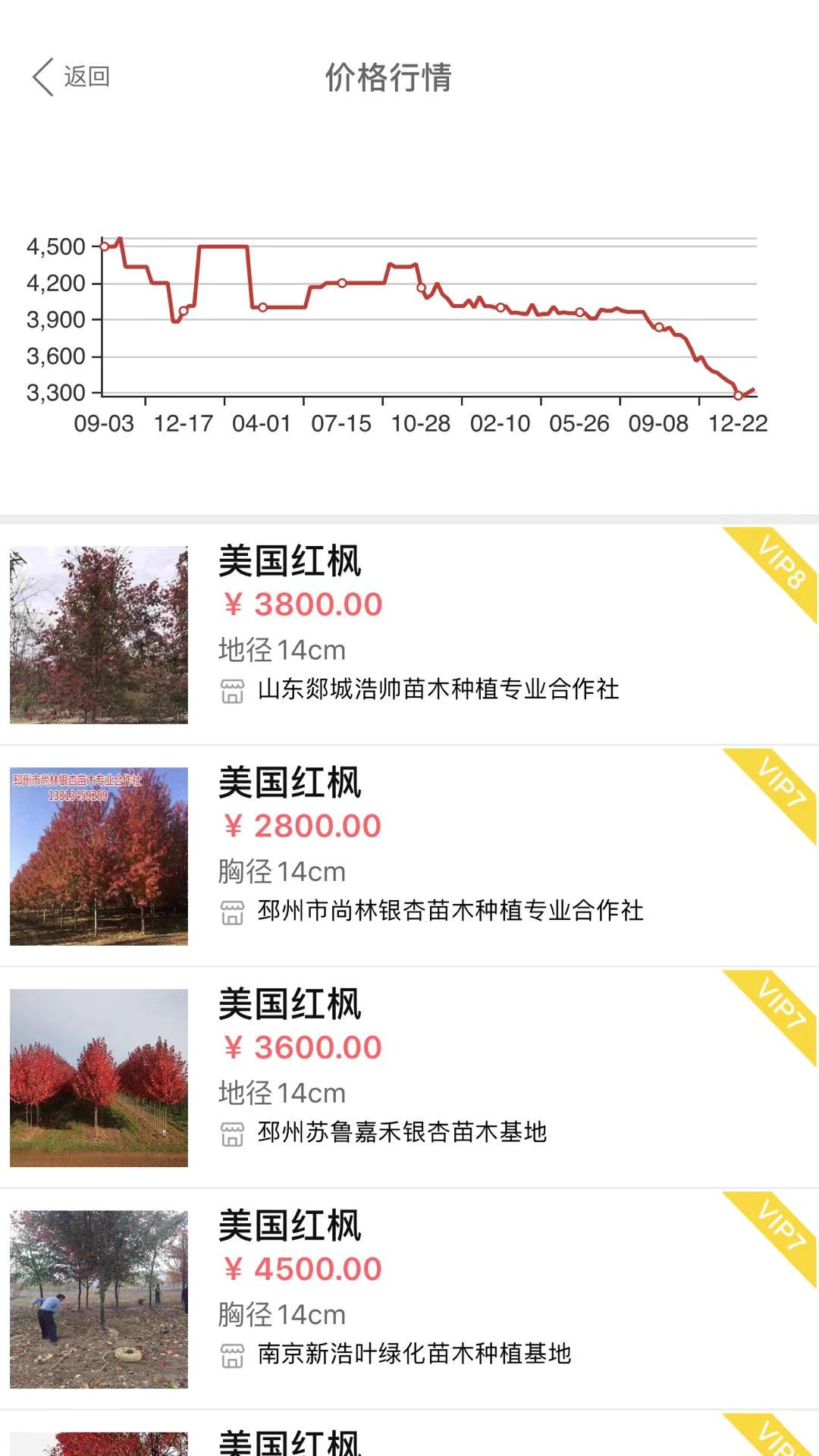 大概多少钱
