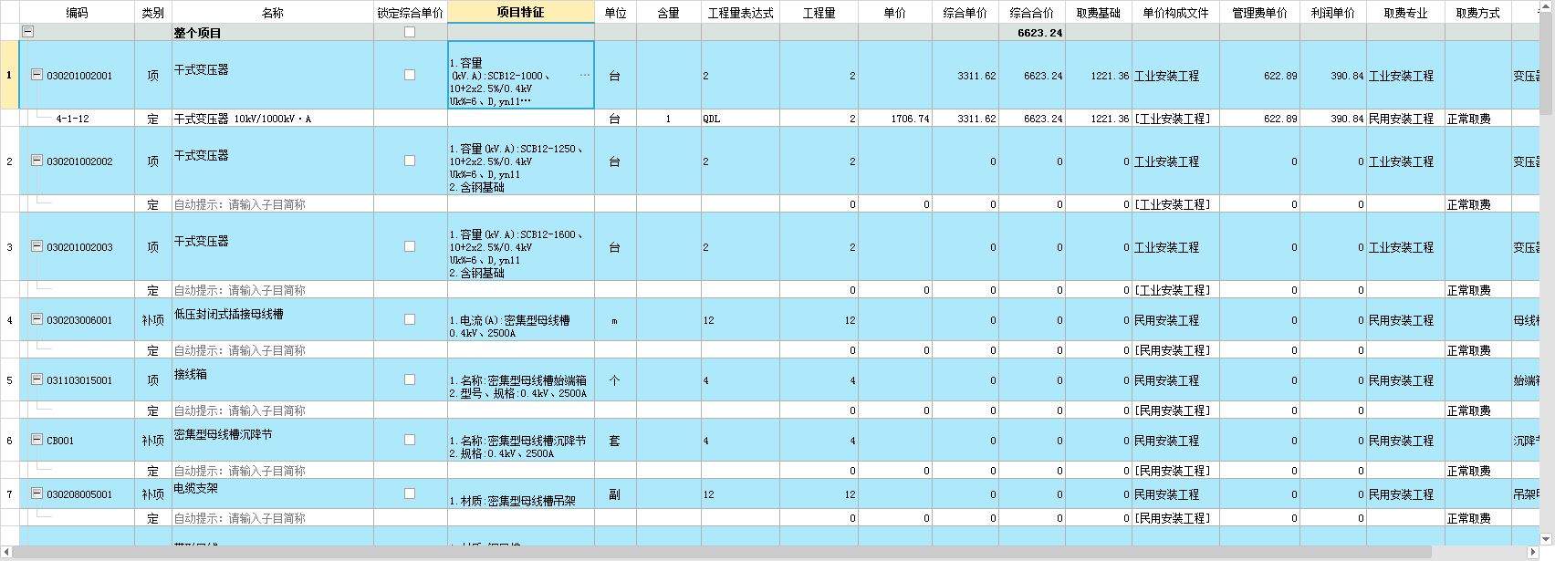 项目特征