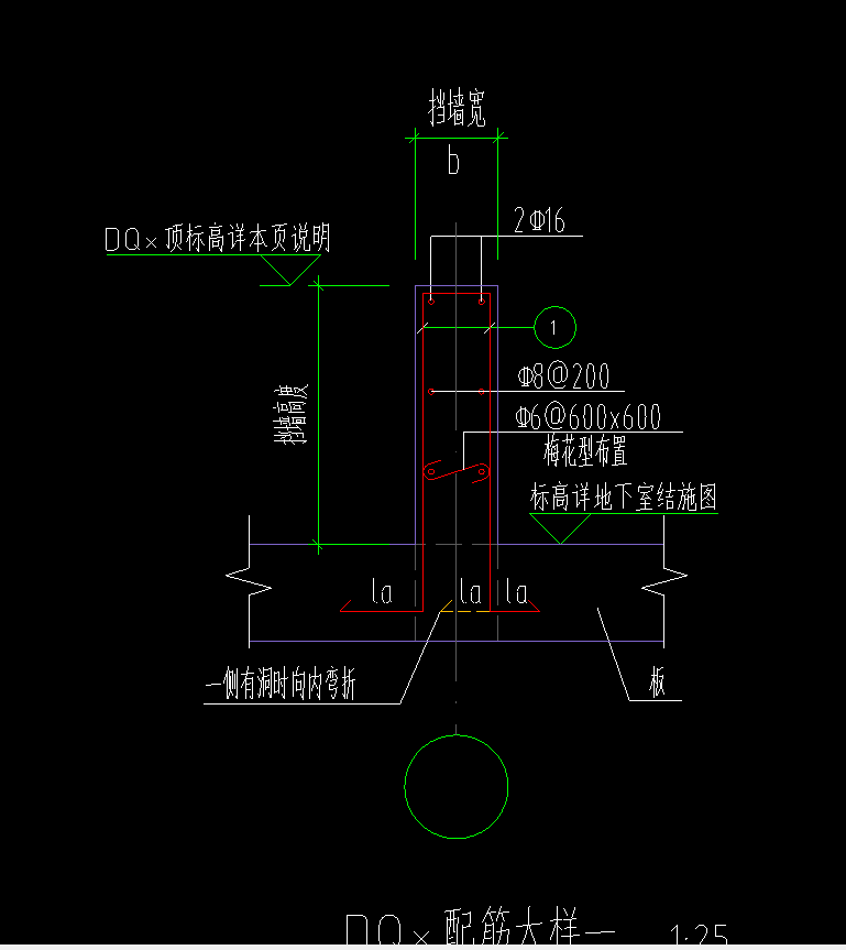 分布筋