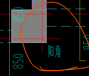 放射筋