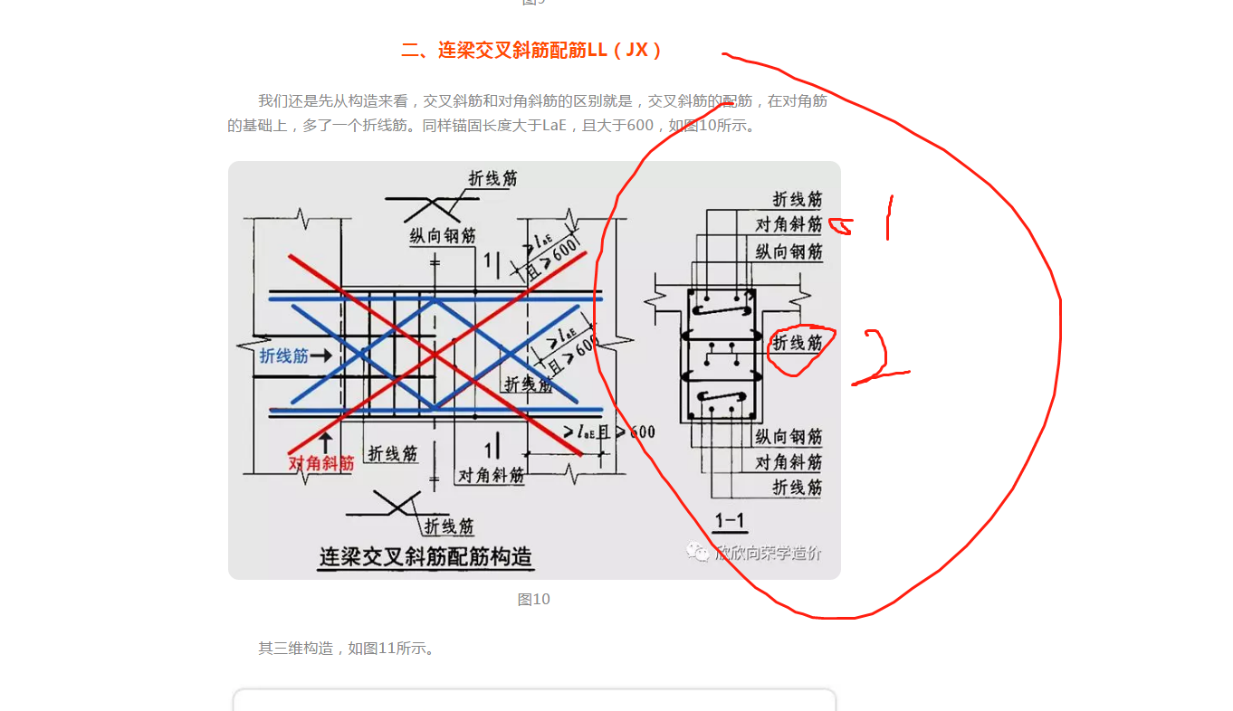 斜筋