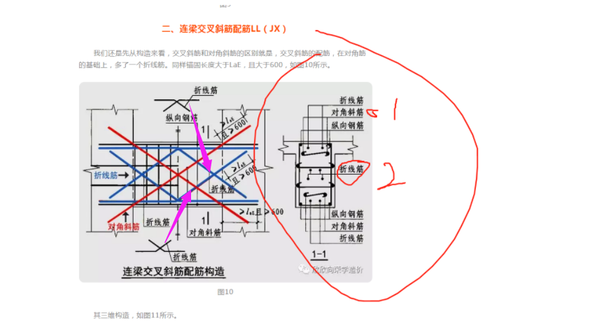 折线筋