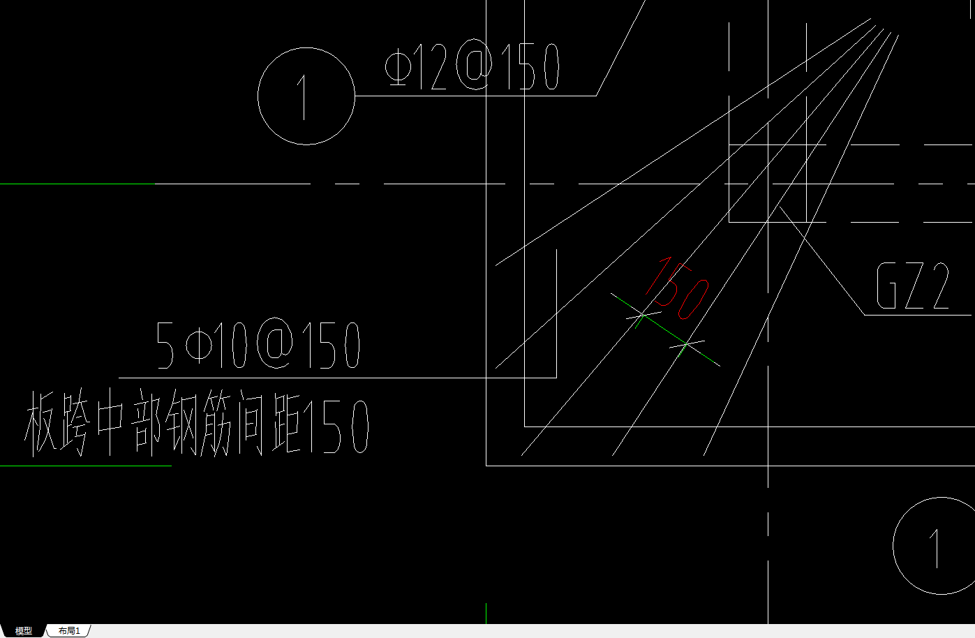 放射筋