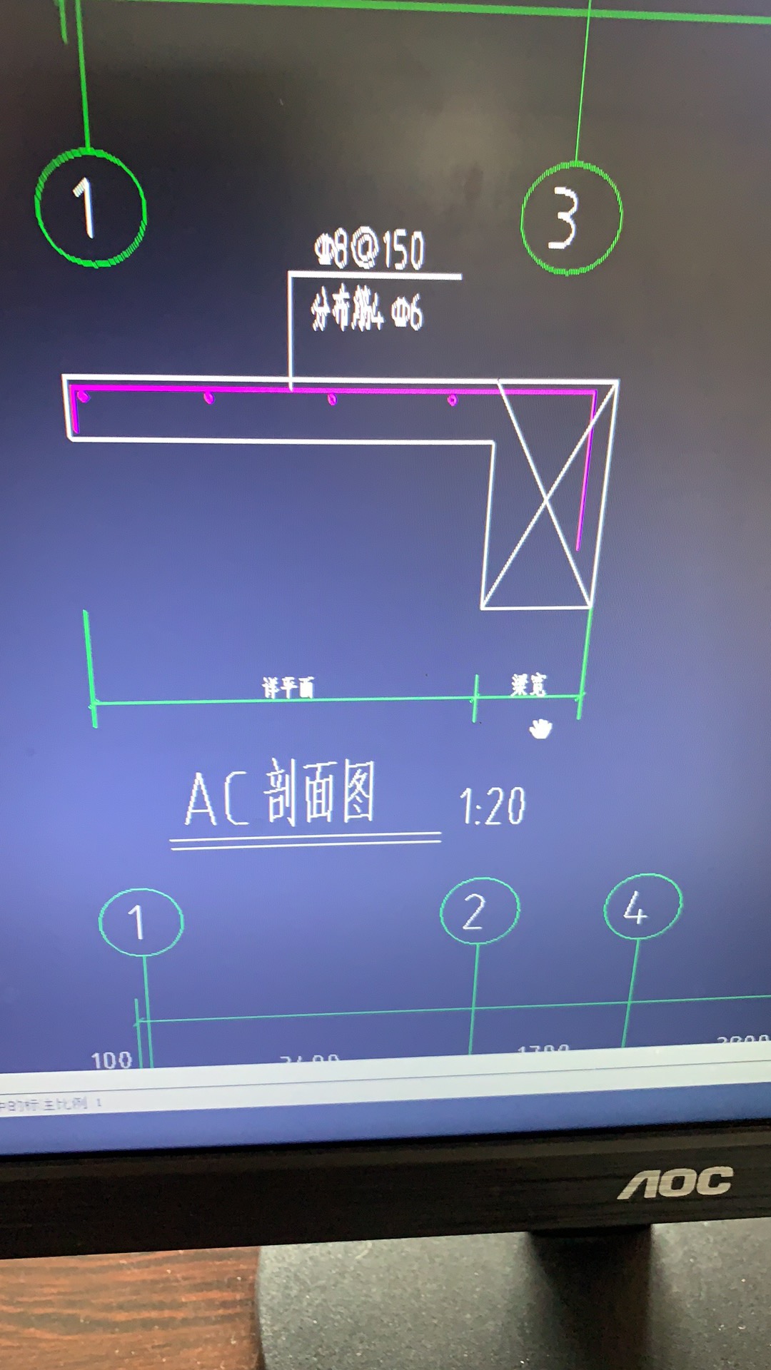 分布筋